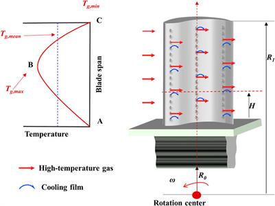 Dependence of microstructural evolution on the geometric structure for serviced DZ125 turbine blades